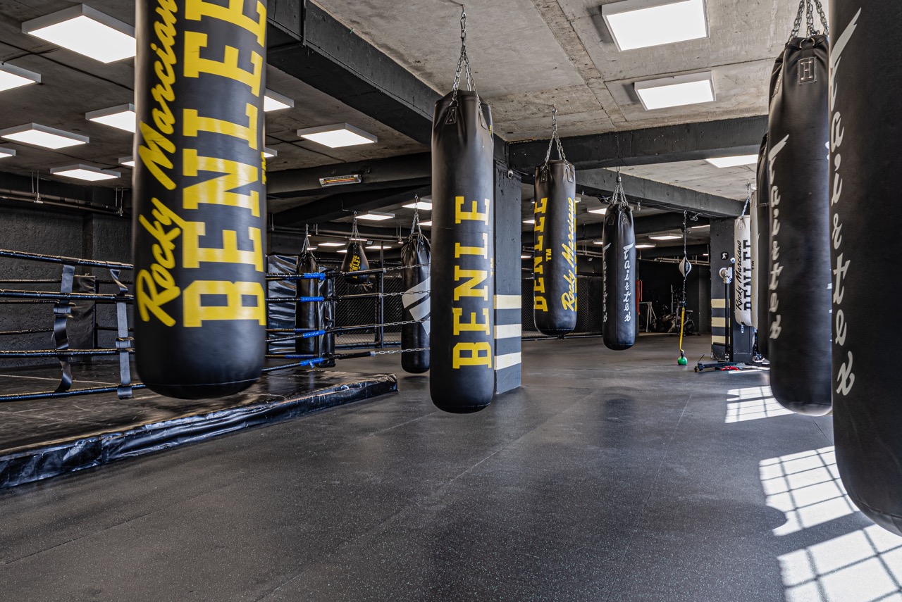 Boxing zone with heavy bags and striking stations